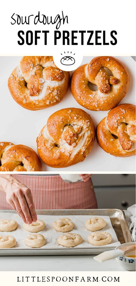 Sourdough Pretzel Recipes, Vegan Sourdough Pretzels, Vegan Sourdough Donut Recipe, Things To Bake With Sourdough Starter, Sour Dough Pretzels Recipe, Soft Sourdough Pretzels, Sourdough Starter Ideas, Recipes Made With Sourdough Starter, Easy Sourdough Recipes No Wait