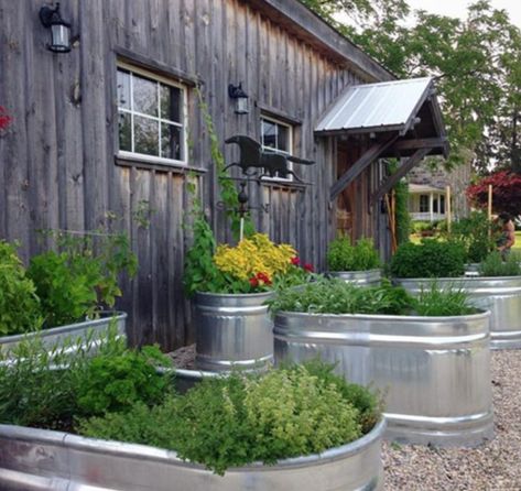 15 Unique and Beautiful Container Garden Ideas - Sanctuary Home Decor Raised Veggie Gardens, Raised Herb Garden, Vegetable Garden Raised Beds, Water Trough, Building A Raised Garden, Trough Planters, Diy Raised Garden, Raised Garden Beds Diy, Homestead Survival