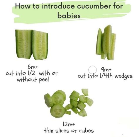 Cucumbers are 90% water. Because of its cooling effect and easy to hold shape, it is popular during the teething phase. Cucumbers are not a superfood, but it does contain a small amount of nutrients. Cucumbers are not an allergen but at times, they may cause flatulence. How do you prepare cucumbers to offer, to babies - 1. You need not steam the cucumbers. 2. Just offer them raw, and cut length-wise. 3. Coin-sized cucumber slices can be a choking hazard, so be aware. Cucumber Slices, Led Weaning, Baby Led Weaning, Weaning, Natural Medicine, Baby Food, Baby Food Recipes, Kids Meals, Celery