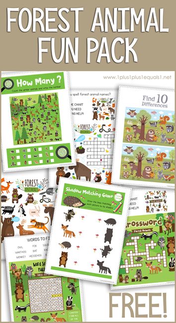 Forest Animals Preschool, Forest Animals Theme, Forest Habitat, Animal Worksheets, Nature School, Animal Fun, World Geography, Forest Theme, Animal Activities