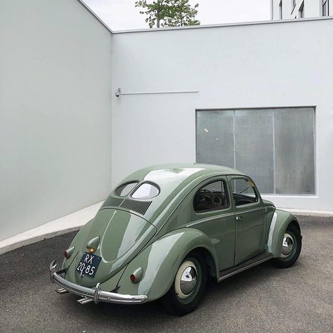 Volkswagon Van, Volkswagen Beetle Vintage, Green Beetle, Bug Car, Beetle Car, Vw Vintage, Volkswagen Car, Old School Cars, Vw Van