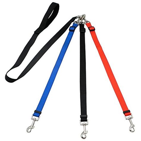 Hands Free Dog Leash, Dogs Black, Multiple Dogs, Cat Reading, Pet Leash, Cat Family, Dog Collars & Leashes, Dog Birthday, Medium Dogs