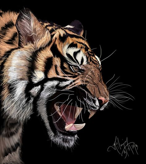 Tiger Digital Painting by Xavio-Design Art Tigre, Tiger Artwork, Tiger Drawing, Ikan Koi, Tiger Painting, Design Makeup, Tiger Pictures, Výtvarné Reference, Tiger Art