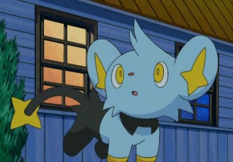 Shinx Art, Pokemon Shinx, Luxray Pokemon, Poppy Doll, Pokemon Poster, Pokemon Gif, Pokémon Stuff, Pokemon Oc, Pokemon Funny