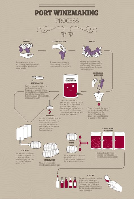 Wine Cheat Sheet, Wine Infographic, Wine Making Process, Wine 101, Wine Folly, Portuguese Wine, Wine Map, Wine Knowledge, Wine Merchant