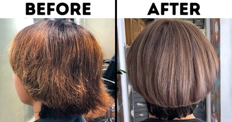 11 Ways You Can Repair Damaged Bleached Hair Bleach Damaged Hair, Fried Hair, Treat Damaged Hair, Bleached Hair Repair, Brassy Blonde, Hair Due, Home Remedies For Hair, Hair Treatments, Adorable Cats