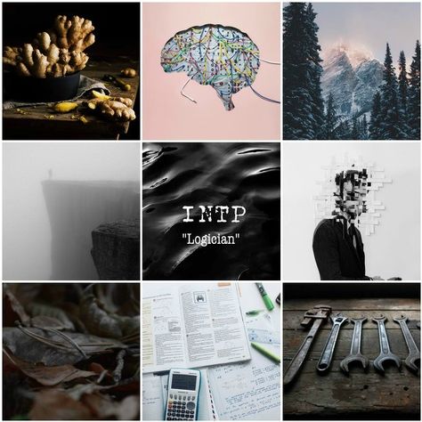 INTP Aesthetics Intp Mood Board Aesthetic, Intp Aesthetics, Intp 5w6, Aesthetic Personality, Editor Photo, Wattpad Background, Intp Personality Type, Intp T, Intp Personality