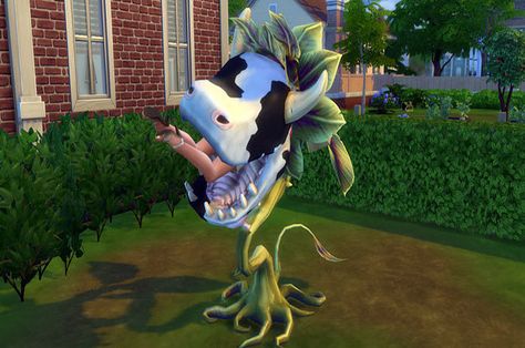 People Are Sharing The Worst Things They Did To Their Sims And Everyone Is A Monster Sims 4 Cow Plant, Dark Souls Concept Art, Demon Souls, Plant Guide, Sims 4 Update, The Cow, Kill People, A Cow, Large Planters