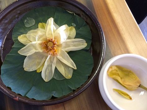 Lotus Flower Tea, Lotus Tea, Nothing But Flowers, Lotus Leaves, Tea Tasting, Warm Food, Lotus Leaf, Beautiful Bouquet Of Flowers, I Really Appreciate