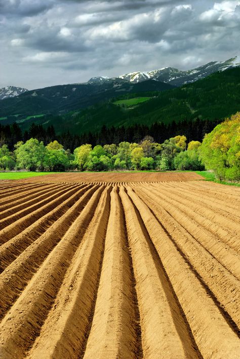 . Plowing Fields, Ploughed Fields, Agriculture Farming, Depth Of Field, Farm Life, Country Living, Iowa, Agriculture, Beautiful Pictures