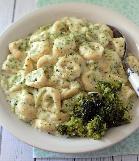 Broccoli Alfredo Tortellini | 16 Delish Tortellini Recipes Alfredo Tortellini, Broccoli Alfredo, Tortellini Recipes, Tortellini Pasta, Good Eat, Spaghetti Squash, Comfort Foods, Tortellini, Ravioli