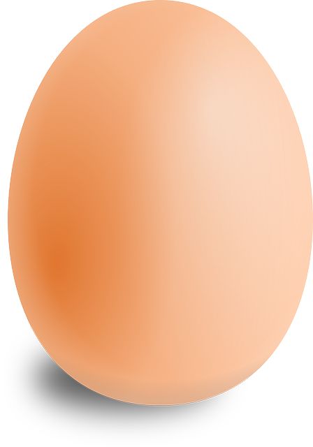 Free Vector Graphic: Egg, Oval, Food, Round - Free Image on Pixabay - 157224 Food Clipart, Fruit Photography, Hay Day, Facts For Kids, Play Food, Fruit And Veg, Meal Time, Free Food, Food Art