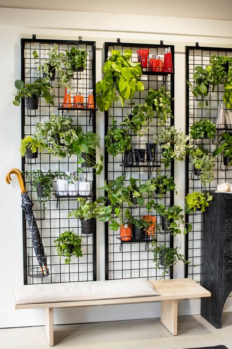 Wall plant holder