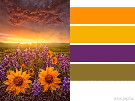 Purple Green Yellow Orange Color Palette, Purple Green And Orange Aesthetic, Purple Green And Orange Wedding, Purple Green Orange Color Palette, Yellow Purple Color Palette, Orange Purple Wedding, Orange Green Purple, Orange Palette, Yellow Palette