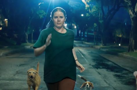 The Trailer For 'Nightbitch' Has Amy Adams Thinking She's Turning Into A Dog https://iconichipster.com/the-trailer-for-nightbitch-has-amy-adams-thinking-shes-turning-into-a-dog/ #AmyAdams #Nightbitch #Trailer Jaime King, London Film Festival, Dark Comedy, Amy Adams, Female Friends, Movie Releases, Man Of Steel, Movie Photo, Upcoming Movies