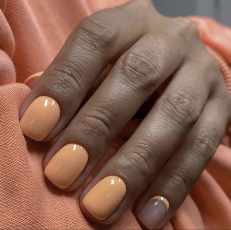 August Nails, Solid Color Nails, Coral Nails, Short Square Nails, Simple Gel Nails, Minimal Nails, Vibrant Nails, Casual Nails, Ideas Nails