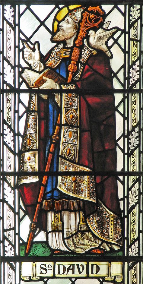 St David in Cambridge | by Lawrence OP Christian Iconography, St David, Wine Bottle Wall, Saint David, Stained Glass Church, Church Windows, Art Stained, March 1, Armors