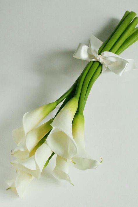 Lilly Bouquet Wedding, Flowers Simple Bouquet, Wedding Flowers Simple, Calla Lillies Bouquet, White Flower Wedding, Calla Lily Bridal Bouquet, Lily Bridal Bouquet, Simple Bouquet, Bouquet Green