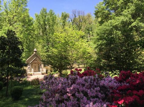 Beautiful Azaleas in full bloom at Graceland's Chapel in the Woods! Chapel In The Woods, Elvis Pictures, Graceland Elvis, Grooms Party, Beautiful Churches, Wedding Gifts For Groom, Great Wedding Gifts, Wine Bottle Stoppers, Memphis Tn