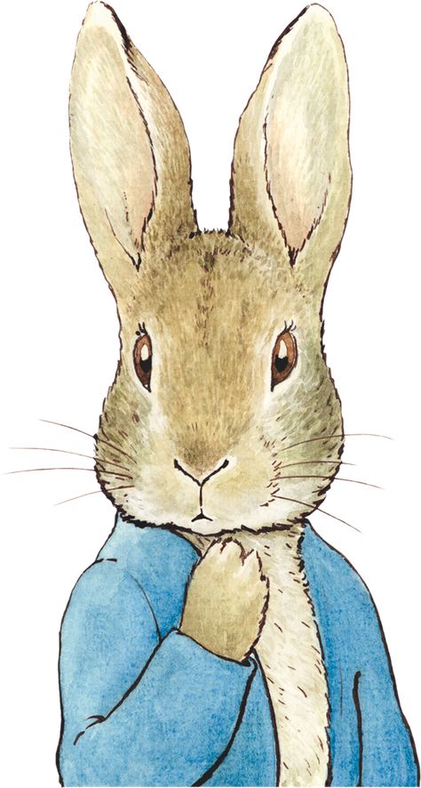 Peter Rabbit Illustration, Beatrix Potter Illustrations, Beatrice Potter, Peter Rabbit Birthday, Peter Rabbit Party, Peter Rabbit And Friends, Rabbit Collection, Plate Designs, Baby Rabbit