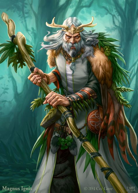 Druid Staff, Robes White, Antler Crown, Owl Magic, Roi Arthur, Fantasy Wizard, Heroic Fantasy, Fantasy Pictures, Fantasy Warrior