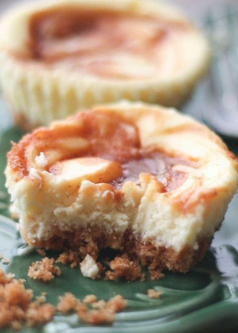 Caramel Swirl Cheesecake Cupcakes by Barefeet in the Kitchen for JavaCupcake.com Caramel Swirl Cheesecake, Cheesecake Cupcakes Recipe, Caramel Cheesecake Recipes, Home Chocolate, Buns In My Oven, Cheesecake Bites Recipe, Swirl Cheesecake, Coconut Cheesecake, Cheesecake Dessert