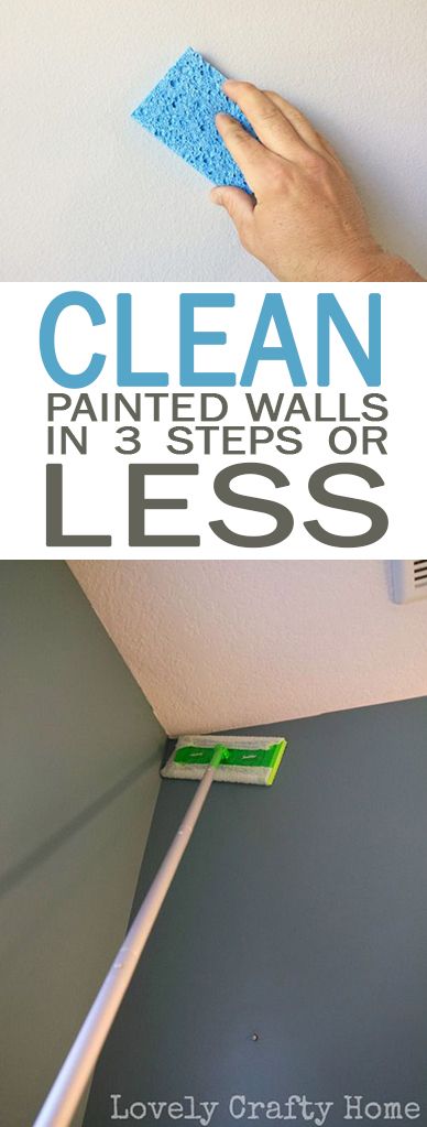 How To Wash Your Walls, How To Clean White Walls Houses, How To Clean Bathroom Walls, Cleaning Bathroom Walls, How To Wash Walls Cleaning, Washing Painted Walls, What To Use To Clean Walls, How To Clean White Walls, How To Wash Painted Walls