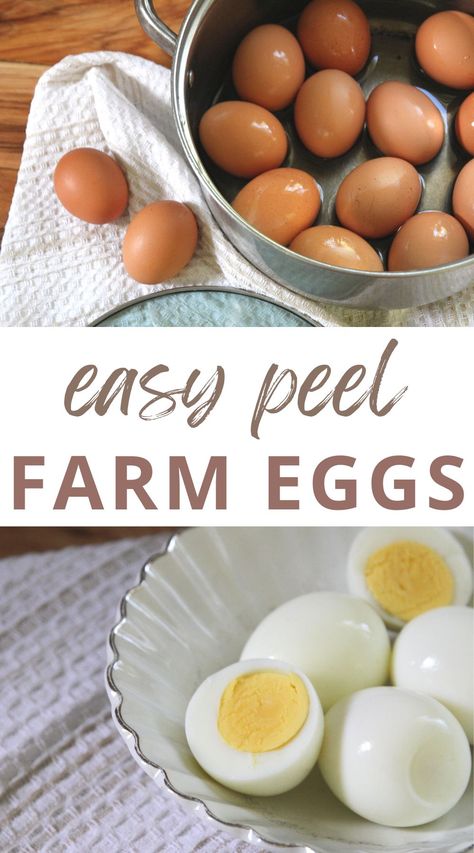 Boil Fresh Eggs, Hard Boil Fresh Eggs, Hard Boiled Eggs Easy Peel, Peeling Boiled Eggs, Braised Chicken Recipes, Easy Hard Boiled Eggs, Boiled Chicken Recipes, Can Chicken Recipes, Peeling Hard Boiled Eggs