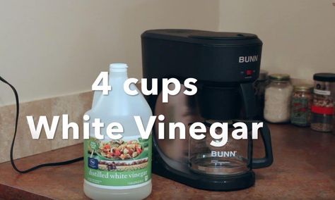 Cleaning Coffee Maker With Vinegar, Coffe Maker, Coffee Pot Cleaning, Coffee Maker Cleaning, Bunn Coffee Maker, Clean Coffee, Cleaning Mold, Mr Coffee, Neat Tricks