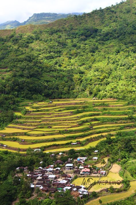 @ kalinga province #nature #breathtakingview #riceterraces #mountain #godscreation #philippines Mountain Province Philippines, Philippines Mountains, Groningen Netherlands, Surreal Artwork, Macro Shots, Weird Dreams, Surreal Art, Macro Photography, Bored Panda