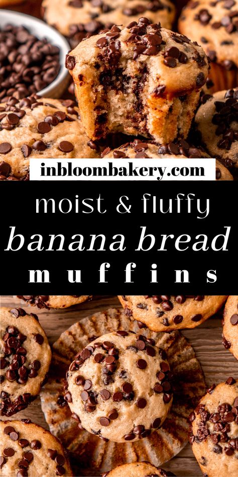 These are the best banana bread muffins! They're soft, moist, full of banana flavor with lots of mini chocolate chips in each bite. If you love banana bread you will love this banana bread muffin recipe! Mini Chocolate Chip Banana Bread, Best Banana Bread Muffins, Banana Muffins With Chocolate Chips, Chocolate Chip Banana Bread Muffins, Banana Choc Chip Muffins, Honey Cornbread Muffins, Banana Bread Muffin Recipe, In Bloom Bakery, Chocolate Chip Banana Muffins