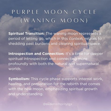 In honor of the new moon 🌙♍️ the cycles of our bodies mirror the cycles of the earth 🪞🌎it's alllll connected. Which moon cycle are you in sync or closest with right now? Understanding these alignments can offer insightful perspectives into how natural rhythms potentially influence emotional, physical, and spiritual well-being. This is an interesting concept that you could incorporate into one of your prenatal/postnatal yoga classes or doula work! 🩵 ✨✨PS don't forget about 20% off tuition... Purple Moon Cycle Period, Pink Moon Cycle, Purple Moon Cycle, Cycle Period, Period Tips, Postnatal Yoga, Period Hacks, Purple Moon, Moon Cycle