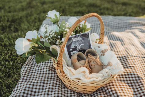 Pregnancy Picnic Photoshoot, Maternity Photography Picnic, Picnic Baby Announcement, Instagram Baby Announcement, Pregnancy Announcement Basket, Picnic Maternity Photoshoot, Picnic Gender Reveal, Gender Reveal Picnic, Classy Pregnancy Announcement