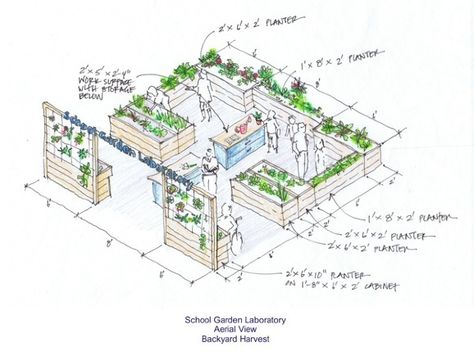 Project: Design a School Garden Winners Announced! | Environment on GOOD Raised Bed Garden Layout, Garden Planning Layout, Garden Layout Vegetable, Garden Drawing, Desain Lanskap, Garden Design Plans, School Garden, Vegetable Garden Design, Street Design