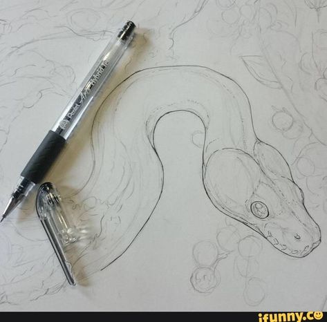 Snake Painting, Snake Drawing, Pencil Drawing Tutorials, Illustration Tattoo, Snake Art, Diy Tattoo, Desenho Tattoo, Animal Sketches, A Snake