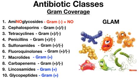 Image: You can use the acronym “GLAM” to remember Glycopeptides, Lincosamides, Aminoglycosides, and Macrolides have specific gram coverage (with minor exceptions discussed above). Antibiotics Pharmacology, Gram Negative Bacteria, Medical Notes, Notes Making, Medical Lab, Nursing Mnemonics, Strep Throat, Medical Student Study, Pharmacology Nursing