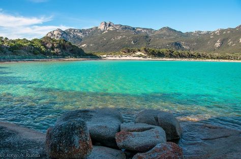 Flinders Island Gold Coast Australia, Island Home, Tasmania, Gold Coast, Adventure Time, State Parks, Google Chat, Blog Post, Australia