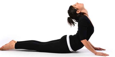 The Cobra Yoga Pose is very relaxing for the mind. This pose is a gateway towards a relaxed mind and it greatly helps to tone your muscles, and has many benefits. Bhujangasana Pose, Yoga Posses, Yoga For Seniors, Muscle Abdominal, Cobra Pose, Easy Yoga Poses, Yoga Positions, Yoga Posen, Trening Fitness