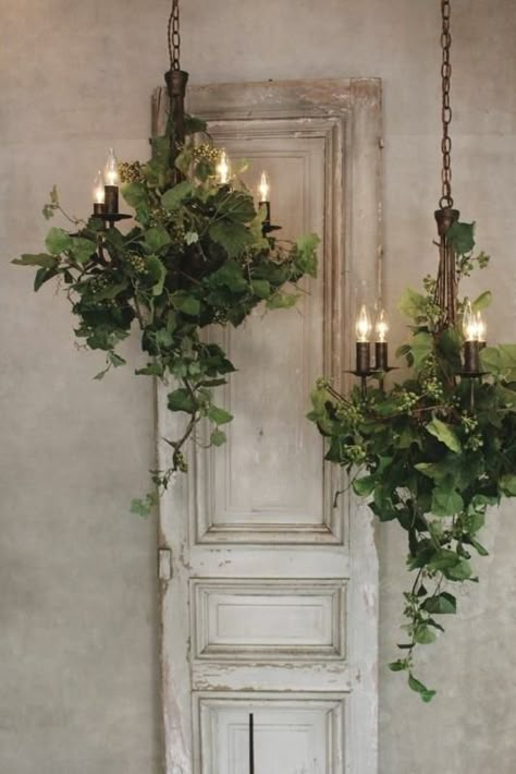 Deco Champetre, Decoration Shabby, نباتات منزلية, Deco Nature, Old Door, Deco Floral, Enchanted Forest, Shelf Decor, Plant Decor