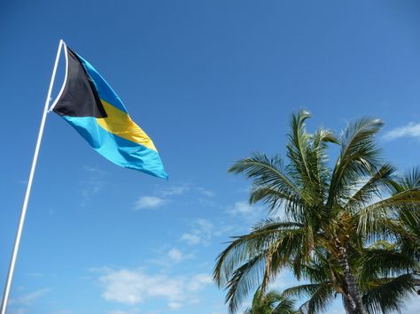 Bahamas Flag Bahamas Flag, Bahamas, Wind Sock, Flag, Outdoor Decor, Home Decor, Home Décor