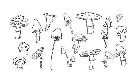 Mushroom Drawing Line Art, Fine Line Mushroom, Mushroom Doodle Tattoo, Mushroom Line Work Tattoo, Simple Mushroom Illustration, Mushroom Line Art Simple, Line Work Mushroom Tattoo, Simple Drawing Ideas Easy Doodles, Simple Mushroom Tattoo