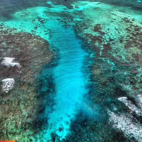 Astrum helicopter view of the Hol Chan cut in the reef and snorkel site San Pedro Belize Ambergris Caye, Belize Snorkeling, Belize Honeymoon, I Am Calm, Placencia Belize, Belize Barrier Reef, Belize Vacation, Western Caribbean Cruise, San Pedro Belize