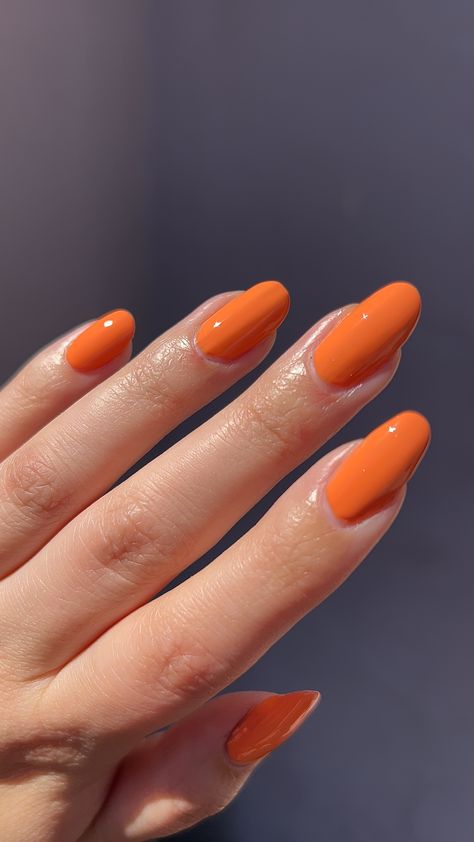 Do you wear orange nail polish? I feel like its in with the yellow category either people love it or hate it. I made this shade bright enough for summer but subdued enough I think this will look great on all skin tones.   Cut on Coral launches 7/26 at 7am PST/ 10am EST  Swatched @polishedbyraeana_   #crackedpolish #crackedcutoncoral #orangenails #orangepolish #orange #indienails #indiepolish #indie #swatches #summer #beachvibes #beachnailinspo #trendingsummernails Pale Orange Nails, Orange Nails Aesthetic, Orange Nail Polish, Orange Nail, Pale Orange, Indie Nail Polish, Beach Nails, Orange Nails, Real Beauty