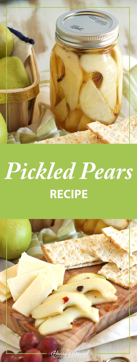 Pickled Pears, Pickled Fruit, Pickled Foods, Preserving Foods, Canning Pickles, Canning Ideas, Sliced Pears, Pear Recipes, Pickled Veggies