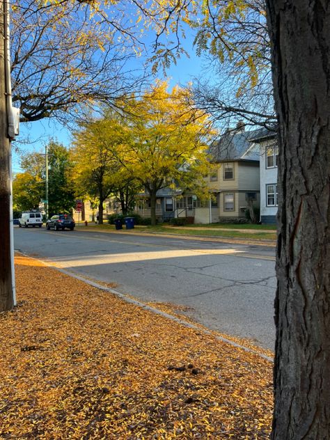 Michigan Fall aesthetic Michigan In The Fall, Michigan Aesthetic, Michigan Forest, Fizzy Water, Michigan Nature, Michigan Fall, American States, American Road, Spring Breeze