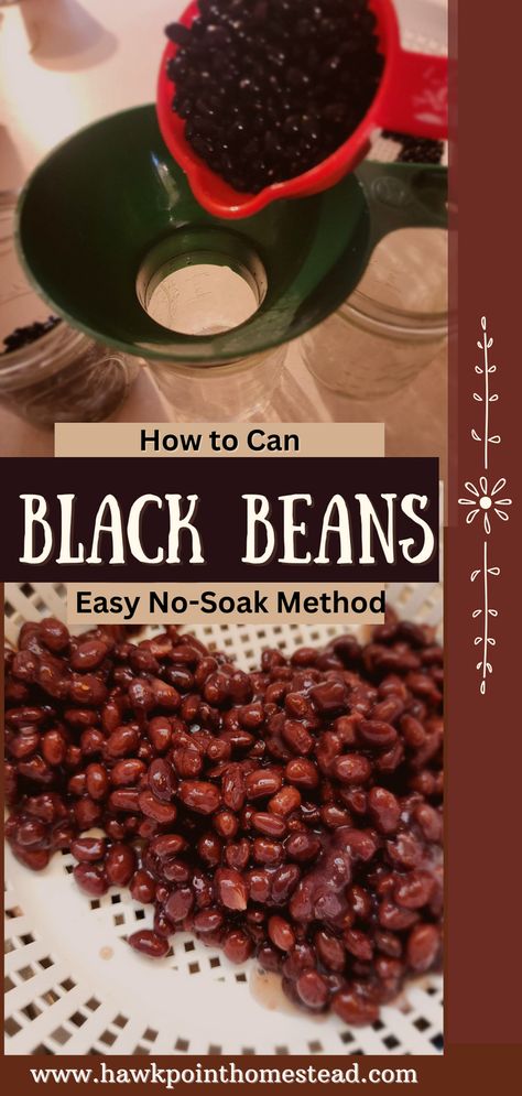 Canning black beans in a pressure canner is an easy, inexpensive, and healthy way to always have black beans on your shelf ready to use. I use a lot of black beans and just used up my last jar in my instant pot Fiesta Fajita Chicken Recipe, so I popped five more jars in my NESCO electric pressure canner. That is about how easy it is, especially since I use the no-soak method of canning dry beans. Plus you control what is in your beans, seasonings, spice level and no preservatives! Canning Black Beans Pressure, Canning Black Beans, Canning Dry Beans, Electric Pressure Canner, Canning Beans, Corn Bean Salsa, Make Refried Beans, Black Bean Corn Salsa, Fajita Chicken