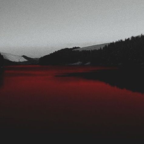 Alucard Aesthetic, Blood Art, Show Me The Way, Dark Photography, Red Aesthetic, Book Inspiration, White Aesthetic, Aesthetic Photo, Instagram Feed