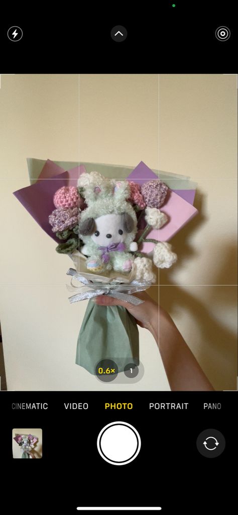 Pochaco plush, pochaco crochet bouquet, sanrio bouquet, sanrio aesthetic Pochacco Bouquet, Sanrio Bouquet, Gif Ideas, Bouquets Ideas, Bouquet Crochet, Boquette Flowers, Crochet Bouquet, Sanrio Characters, Valentines Gift