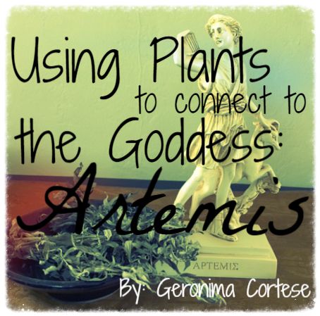 Using Plants to Connect to the Goddess: Artemis Zeus Wife, Artemis Aesthetic, Artemis Greek Goddess, Goddess Artemis, Artemis Goddess, Goddess Of The Moon, Daughter Of Zeus, Divine Feminine Spirituality, Dream Pillow