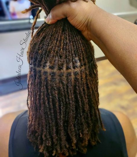 Micro Braids Styles, Short Locs Hairstyles, Dreadlock Style, Dreadlock Styles, Hairstyles For Layered Hair, Dread Hairstyles, Curly Hair Women, Natural Hair Styles Easy, Natural Hair Inspiration